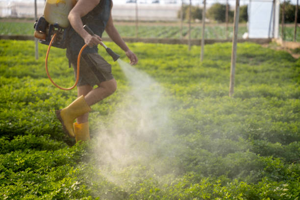 Insect Control in West Siloam Springs, OK